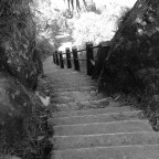 CHAPTER 16: NONGSTENG