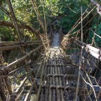 CHAPTER 21: THE HYBRID