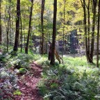 The Pennsylvania Wilds, Pt. 3