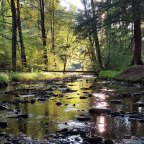 The Pennsylvania Wilds, Pt. 2